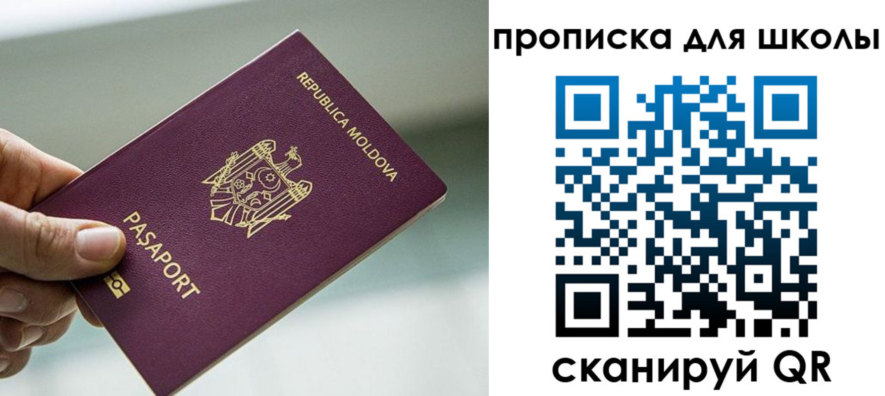 прописка в квартире в Люберцах